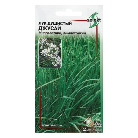 Fragrant onion seeds "Jusai", 40 pcs.