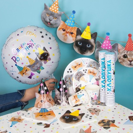 Foil ball 18 "Happy Birthday! Kotiki", Circle, in packaging-2