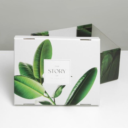 Gift folding box, packaging, “leaves”, 31.2 x 25.6 x 16.1 cm-3