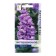 Flowers of Mattiol Flower Aromage lilac, 0.05gr