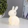 Night -bearing "Bunny" LED from 3xlr44 batteries is white 8x11x14 cm