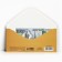 The envelope for the money "Congratulations!" Roses, 16.5 × 8 cm