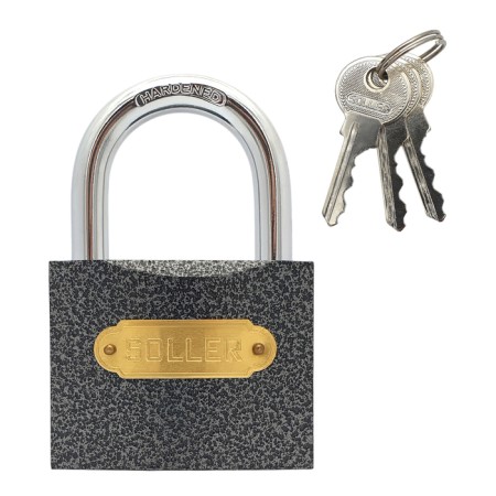The castle of the hinged Soller, 367-1, 75 mm, glossy