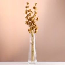 Set of dried flowers 