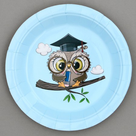 Paper plates "Owl", 6 pcs