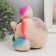 Growing gift Eco -Zhizhivchik "Five -color" Gift packaging mix
