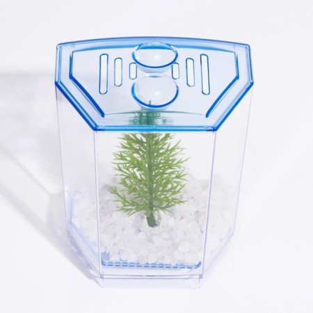 Aquarium desktop, with soil and plant-2