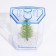 Aquarium desktop, with soil and plant