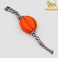 Toy on the rope 