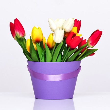 Carrying cone to flowers, purple 11.5 x 17 x 12 cm