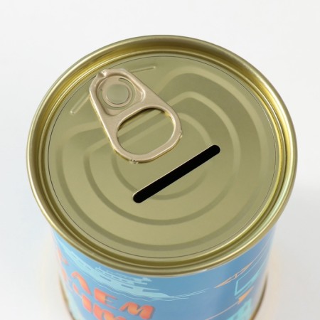 Pigging bank Metal "collecting for a dream"-5