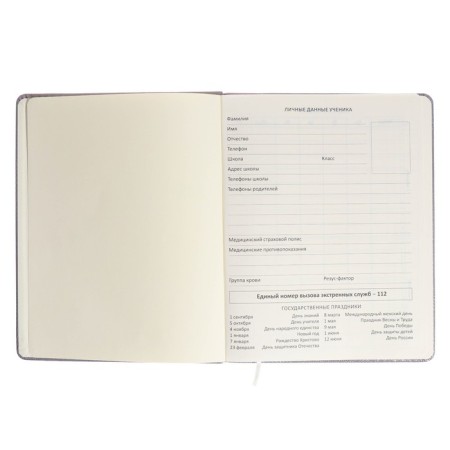 Universal diary for Umbrella 1-11 grade, hard cover, artificial leather, foam rubber, lies, 80 g/m2-3