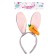 Carnival rim "Bunny", with carrots, color mix