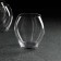A set of glasses for whiskey Carduelis, glass, 420 ml, 6 pcs