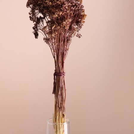Set of dried flowers "yarrow" length 60 cm +/- 5cm, brown-1