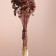Set of dried flowers "yarrow" length 60 cm +/- 5cm, brown