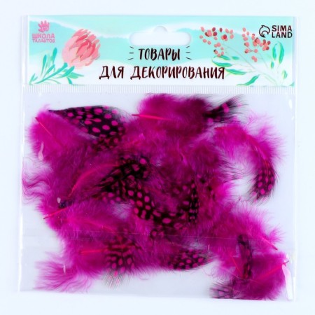 A set of feathers for decor 10 pcs., Size 1 pc: 5 × 2 cm, pink color with black-1
