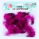 A set of feathers for decor 10 pcs., Size 1 pc: 5 × 2 cm, pink color with black
