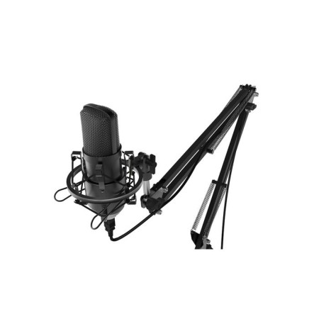 Microphone Ritmix RDM-169, 30-20000 Hz, USB, 1.5 m, black