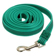 Kaponnoye zonik leash with latex thread, 3 m x 2 cm, green