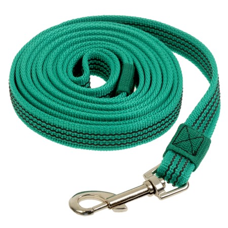 Kaponnoye zonik leash with latex thread, 3 m x 2 cm, green