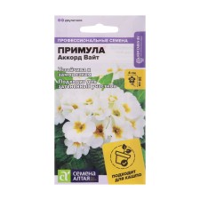 Seeds of primrose 