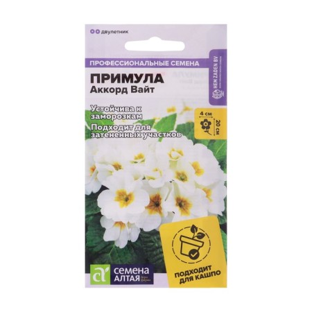 Seeds of primrose "Chorda White", 5 pcs