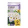 Seeds of primrose "Chorda White", 5 pcs