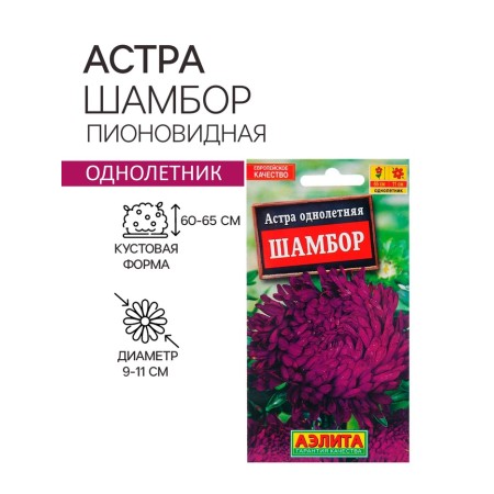 Seeds Astra Shambor Pionovidal ONE C/P 0.2 g-2