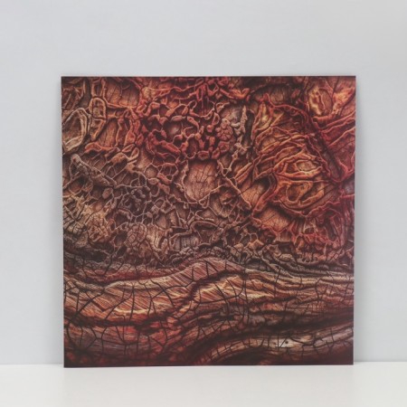 Photophone bilateral cardboard density 350 g "Tree" 50x50 cm-3