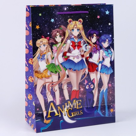 Glossy gift package 22*31*10 cm-1