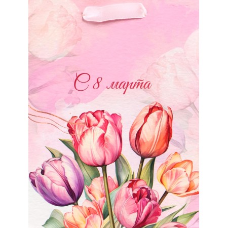 Package Gift Vertical "Tender Day", MS 18 x 23 x10 cm-1