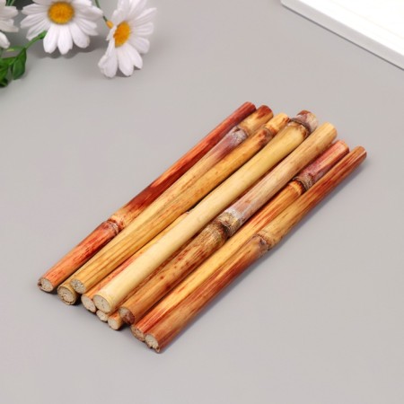 Bamboo stalks are decorative, 10 pcs, length 20 cm