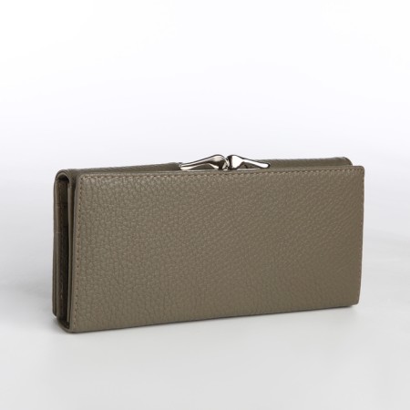 Women's wallet on a magnet, khaki color-1