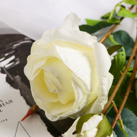 Artificial flowers "Rosa Solmus" d-7.5 cm 64 cm, white-1