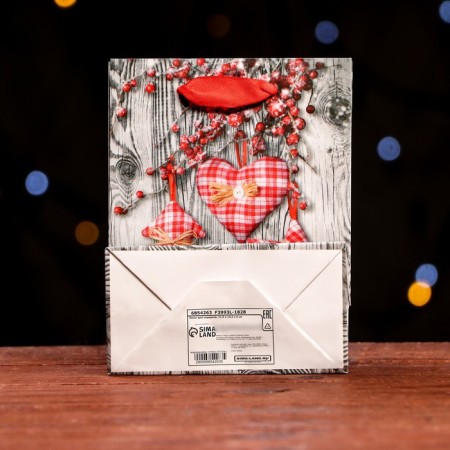 Laminated “Festive Fun” package 11.5 x 14.5 x 6 cm-1