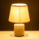 Board lamp "Mania" E14 40W gray 18x18x27 cm Risalux