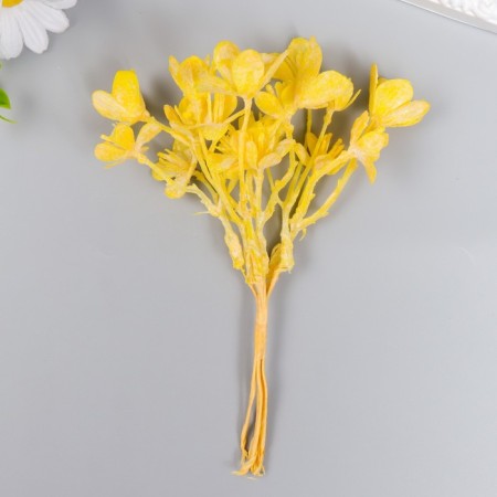 Decor for creativity "Kalanchoe Yellow" 16.5 cm
