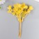 Decor for creativity "Kalanchoe Yellow" 16.5 cm