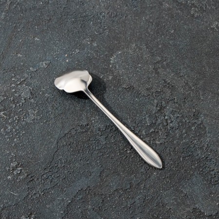 Dessert spoon Magistro "flower", length 12.5 cm, silver color-1