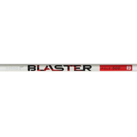 Float b/c Salmo Blaster Pole, test 5-20 g, length 5 m-2