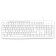 Keyboard Rick 305m White USB Multimedia (1875227)