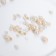 Set for creativity. Wedding scallop "Delicate gold"