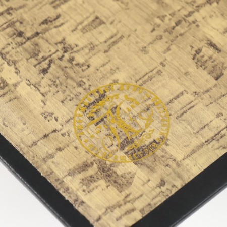 Safe Brush Tree leatherette "Theodore Dreiser. Financier" 21x13x5 cm-4