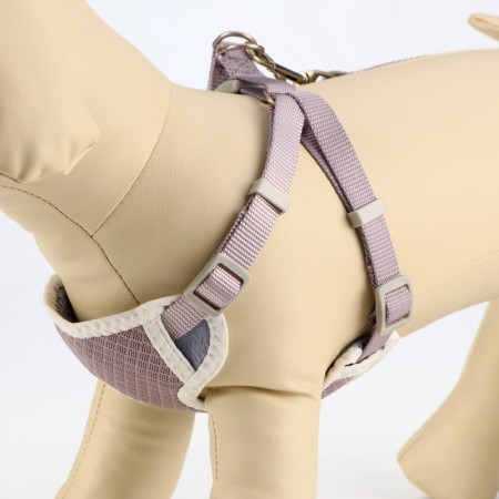 A set of ammunition with a soft harness, m, leash 120 x 1.5 cm, Osh 26-48 cm, OG 26-48 cm, gray.-2