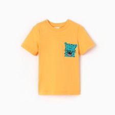 T-shirt for the boy 