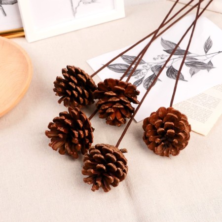 Sukhotzet "Pine cone" d-5.5 cm 40 cm, brown