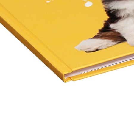 Diary for a music school, 48 sheets, hard cover, matte lamination, foil embossing, reference information, block 60g/m2-2