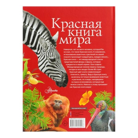 The Red Book of the World-6