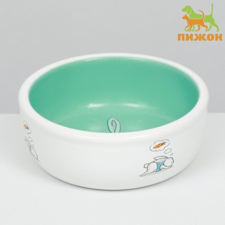Ceramic bowl for rabbits 200 ml 10 x 3.7 cm, mint/white-1